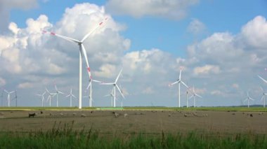 Alternatif enerji rüzgar değirmenlerinin önündeki koyunlara panoramik bakış