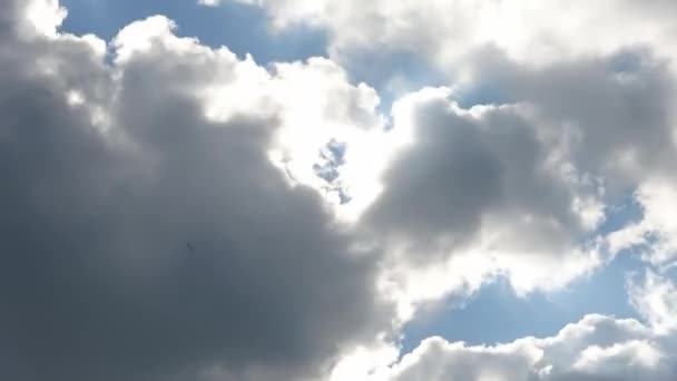 Caducidad Las Impresionantes Formaciones Nubes Oscuras Cielo Justo Antes Una — Vídeos de Stock