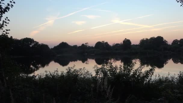 Widok Jezioro Spokojnym Odbijającym Wody Wieczorem Dużą Ilością Ptaków Owadów — Wideo stockowe