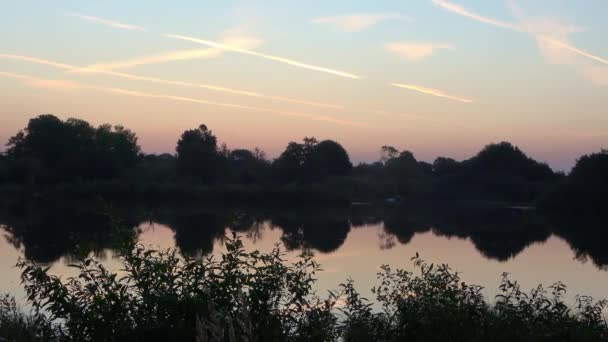 Widok Jezioro Spokojnym Odbijającym Wody Wieczorem Dużą Ilością Ptaków Owadów — Wideo stockowe
