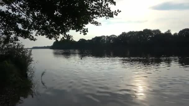 Pływak Jeziorze Południu Sylwetka Krajobrazu Jeziora Tle — Wideo stockowe