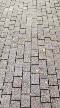 First person view of walking along a gray cobblestone pavement. The camera moves forward showing the texture of the urban pathway