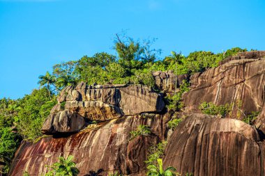 Granit kaya oluşumu, açık mavi gökyüzünün altında tropikal bitki örtüsünün büyüdüğü katmanlar ve dokuları gösteriyor.