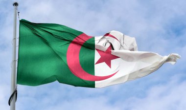 Cezayir bayrağı - gerçekçi kumaş bayrağı sallıyor