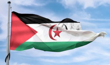 Batı Sahra bayrağı - gerçekçi kumaş bayrağı