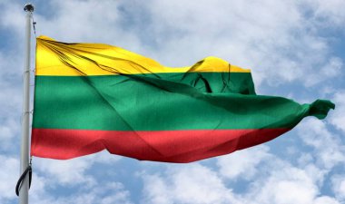 Litvanya bayrağı - gerçekçi kumaş bayrağı