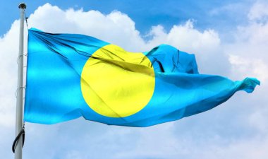 Palau bayrağı - gerçekçi kumaş bayrağı