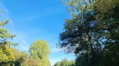 Araba penceresi, kasvetli ve bulutlu bir gökyüzüne karşı elektrik iletim kulelerine ve elektrik hatlarına bakıyor. Sonbaharda bir yol boyunca yolculuk