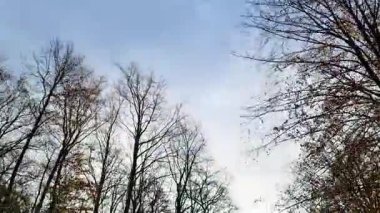 Modern fotovoltaik modüller fayanslı bir çatıya kurulmuş. Temiz mavi gökyüzüne karşı güneşten yenilenebilir, sürdürülebilir enerji üretiyor. Çevresel koruma ve yeşil enerjiyi destekliyor.