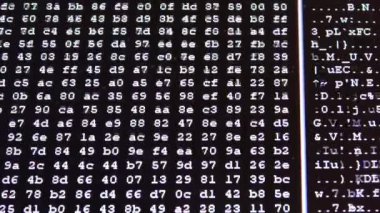 Bilgisayar ekranında kayan beyaz onaltılık kod bilgisayar verilerini ve hackleme kavramlarını temsil ediyor