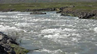Güneşli bir yaz gününde yemyeşil Asbyrgi at nalı kanyonunun göz kamaştırıcı manzarası