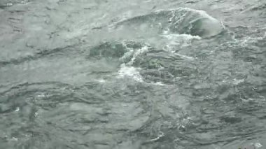 Güneşli bir yaz gününde yemyeşil Asbyrgi at nalı kanyonunun göz kamaştırıcı manzarası