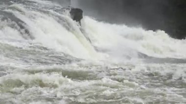 İzlanda 'da güneşli bir günde yeşil bitki örtüsü olan volkanik bazalt sütunlardan oluşan bir duvardan aşağı inen kamera.