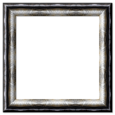 Kare, sürüngen derisi dokusuna sahip boş çerçeve şeffaf arkaplan üzerinde sınır tasarım unsuru sağlıyor