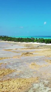 Yakınlardaki bir otoyolda fotovoltaik panelleri ve arabaları olan bir güneş çiftliğinin hava görüntüsü.