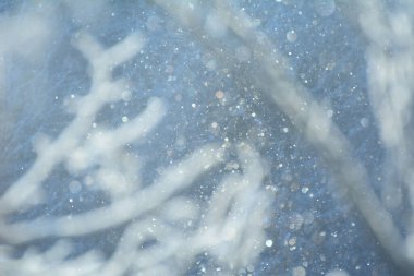 Mavi arka planda düşen bulanık kar taneleri ve karda dallar. Soyut Noel arkaplanı. 