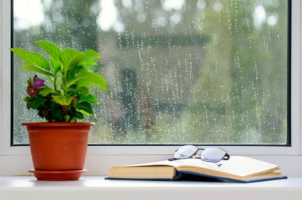 窗台上有一个花盆 附近有一本开著的书 这本书上有眼镜 雨滴落在窗户上 这个概念就是回家休息 — 图库照片