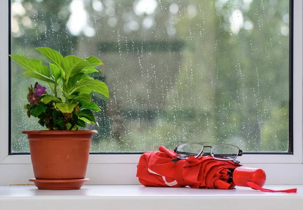 Auf Der Fensterbank Steht Ein Blumentopf Der Nähe Steht Ein — Stockfoto