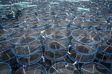 Suda balık tutmak için bir sürü yüzen sepet.