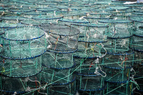 Suda Balık Tutmak Için Bir Sürü Yüzen Sepet — Stok fotoğraf