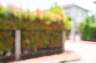 arkaplan resmi için bulanık yeşil bir çit