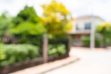 arkaplan resmi için bulanık yeşil bir çit