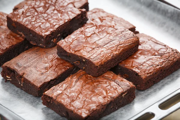 Brownie... — Fotografia de Stock