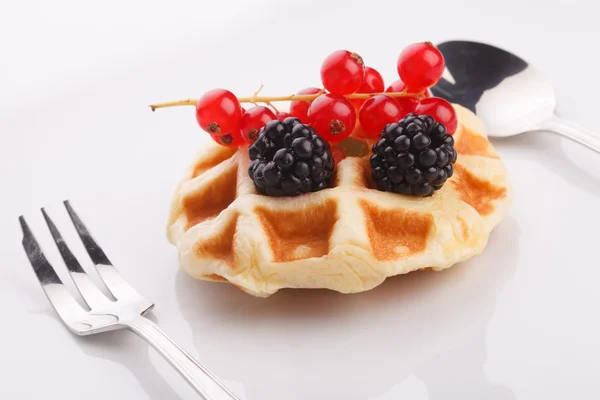 Waffle vaniila com baga de mistura — Fotografia de Stock