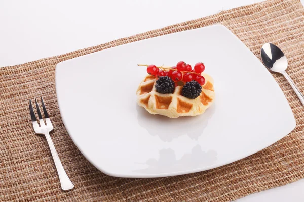 Waffle vaniila com baga de mistura — Fotografia de Stock