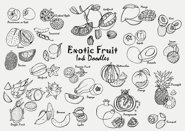 Exotische Fruchtfarbe Doodle Vektor Icon Set Handgezeichnete Kunstsammlung Tropischer Früchte — Stockvektor