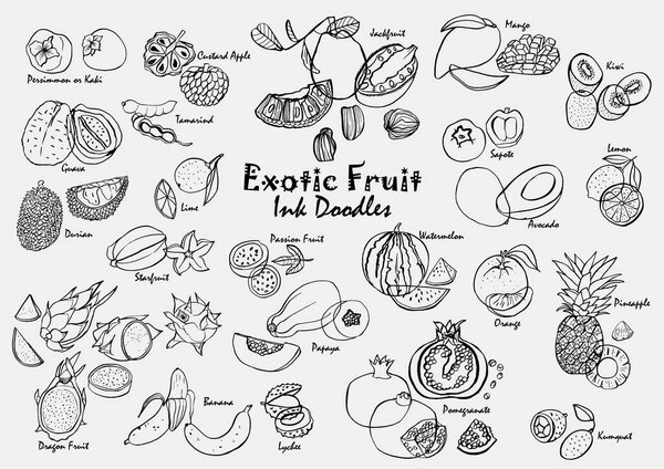 Exotic fruit ink doodle vector icon set. Hand-drawn tropical fruit line art collection.