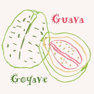 Guava çizgisi, el çizimi, çok renkli modern vektör çizimi. Renkli sanat eseri egzotik meyve tasarımı. Vektör
