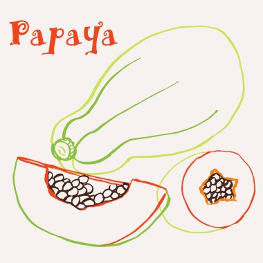 Papaya çizgisi el yapımı çok renkli modern vektör çizimi. Renkli sanat eseri egzotik meyve tasarımı. Vektör