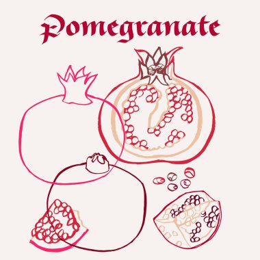 Nar çizgisi, el yapımı çok renkli modern vektör çizimi. Renkli sanat eseri egzotik meyve tasarımı. Vektör