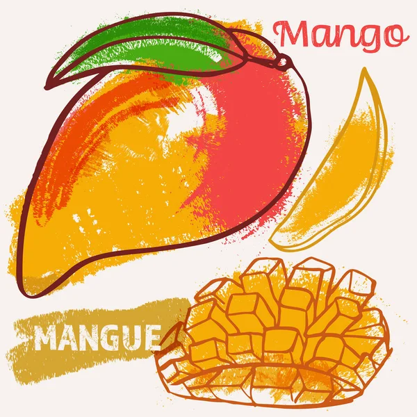 Mango Lijn Kunst Kleur Met Hand Getekend Vector Illustratie Ruw — Stockvector