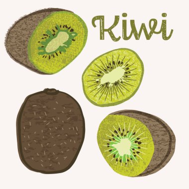 Kivi meyve vektör illüstrasyonu. Renkli desenli modern tasarım.