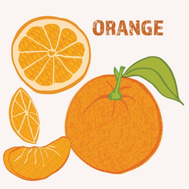 Turuncu turunçgil meyve vektör çizimi. Renkli desenli modern tasarım.