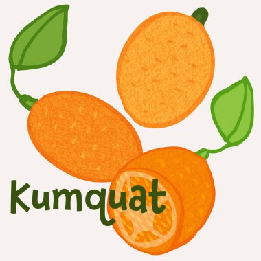 Kumquat Çin turunçgilleri meyve çizimi. Renkli desenli modern tasarım.