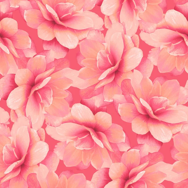 Biçimlendirilmiş, pembe, çiçek açan begonya çiçekleri elle boyanmış, tekstil ve duvar kağıtları için kusursuz bir desen oluşturulmuş..