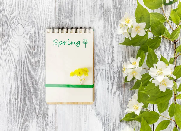 Branch Blooming Jasmine White Wooden Background Open Notepad Writing Spring — Stock Photo, Image