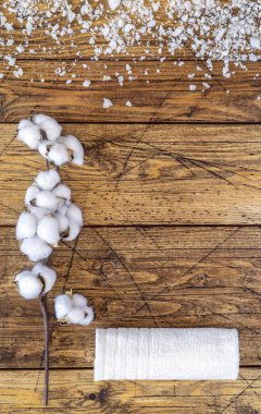 Fotokopi alanı olan doğal, çevre dostu kaplıca