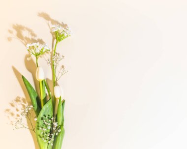 Açık pembe bir zemin üzerinde laleler ve alyssum bulunan romantik bahar çiçeği kompozisyonu. Tatil kartları, afişler ve selamlar için uygun bir kopya alanı. Düz yatıyordu