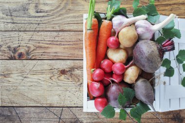 Taze, çiftlik organik sebzeleriyle dolu beyaz ahşap bir kutu: havuç, pancar, turp ve yerel marketten gelen sarımsak kopya alanı olan ahşap bir masada. Mevsimlik sebze satıyorum. Düz yatıyordu