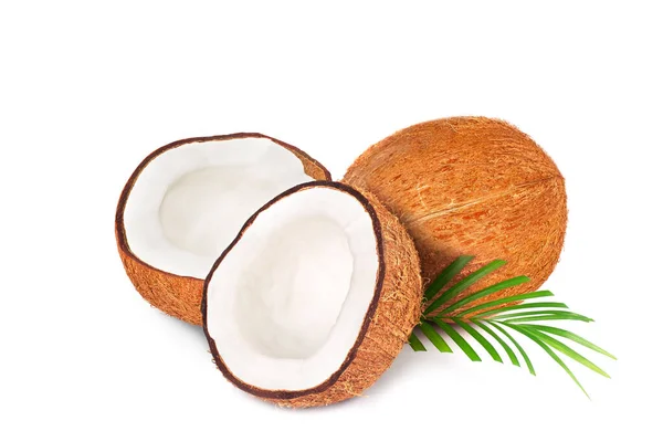 반이요 코코넛과 야자나무 배경에 놓는다 고해상도 — 스톡 사진