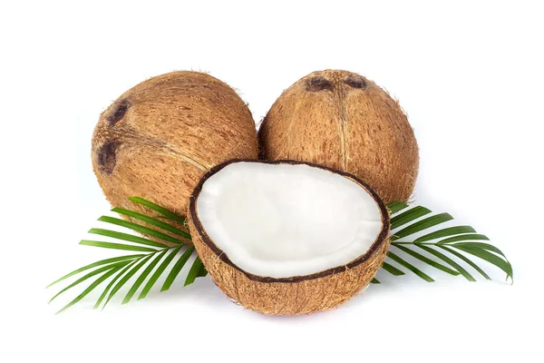 Kokos Połową Świeże Surowe Orzechy Kokosowe Liśćmi Palmowymi Wyizolowanymi Białym — Zdjęcie stockowe