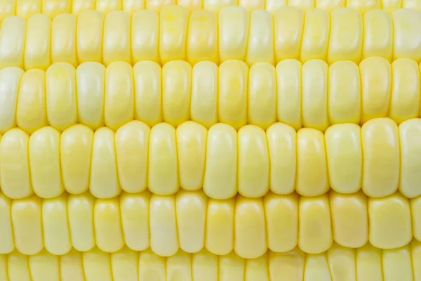 Primer Plano Semillas Maíz Dulce Una Fila Una Gota Agua —  Fotos de Stock