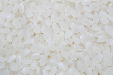 Pirinç suşi için kullanılır. Kısa Taneli Suşi Koshihikari Pirinci. Yüksek çözünürlük pirinç taneleri beyaz arka planda sağlıklı yiyecekler