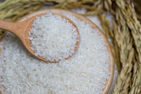 Rice used for sushi. Short Grain Sushi Koshihikari Rice. High resolution.  rice grains healthy food on white background