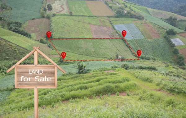 Land plot or land lot. Consist of aerial view of green field, position point and boundary line to show location and area. That is a tract of land for owned, sale, development, rent, buy or investment.