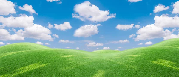 Panoramablick Auf Gras Und Blauen Himmel Mit Leichten Wolken Bild — Stockfoto